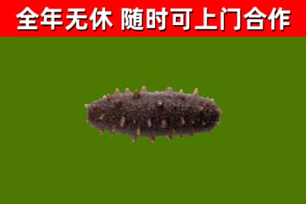 溪湖烟酒回收干海参.jpg